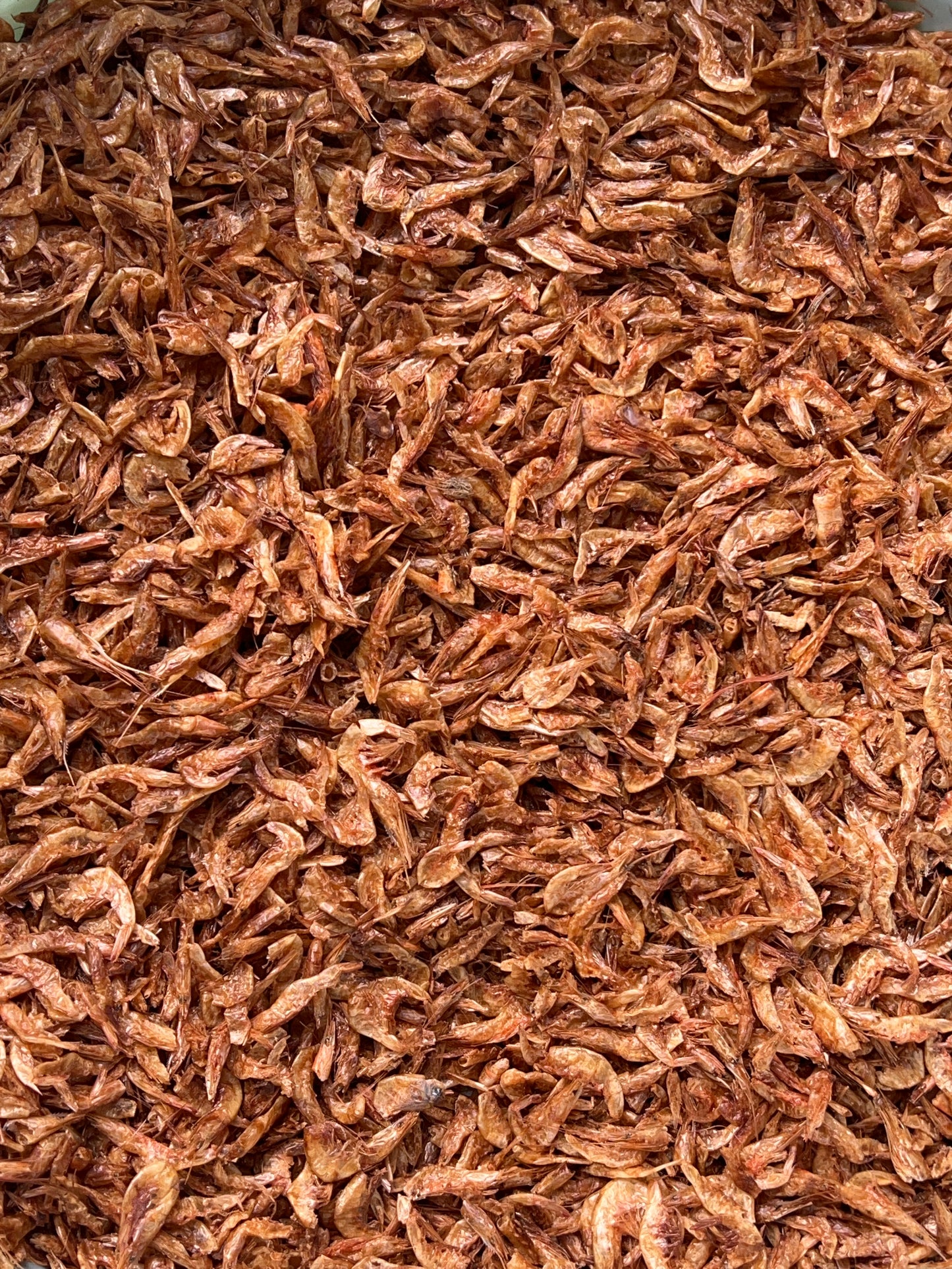 Cleaned Oron Crayfish