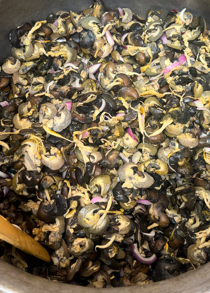 50Pcs - Fresh Small African Bush Snails