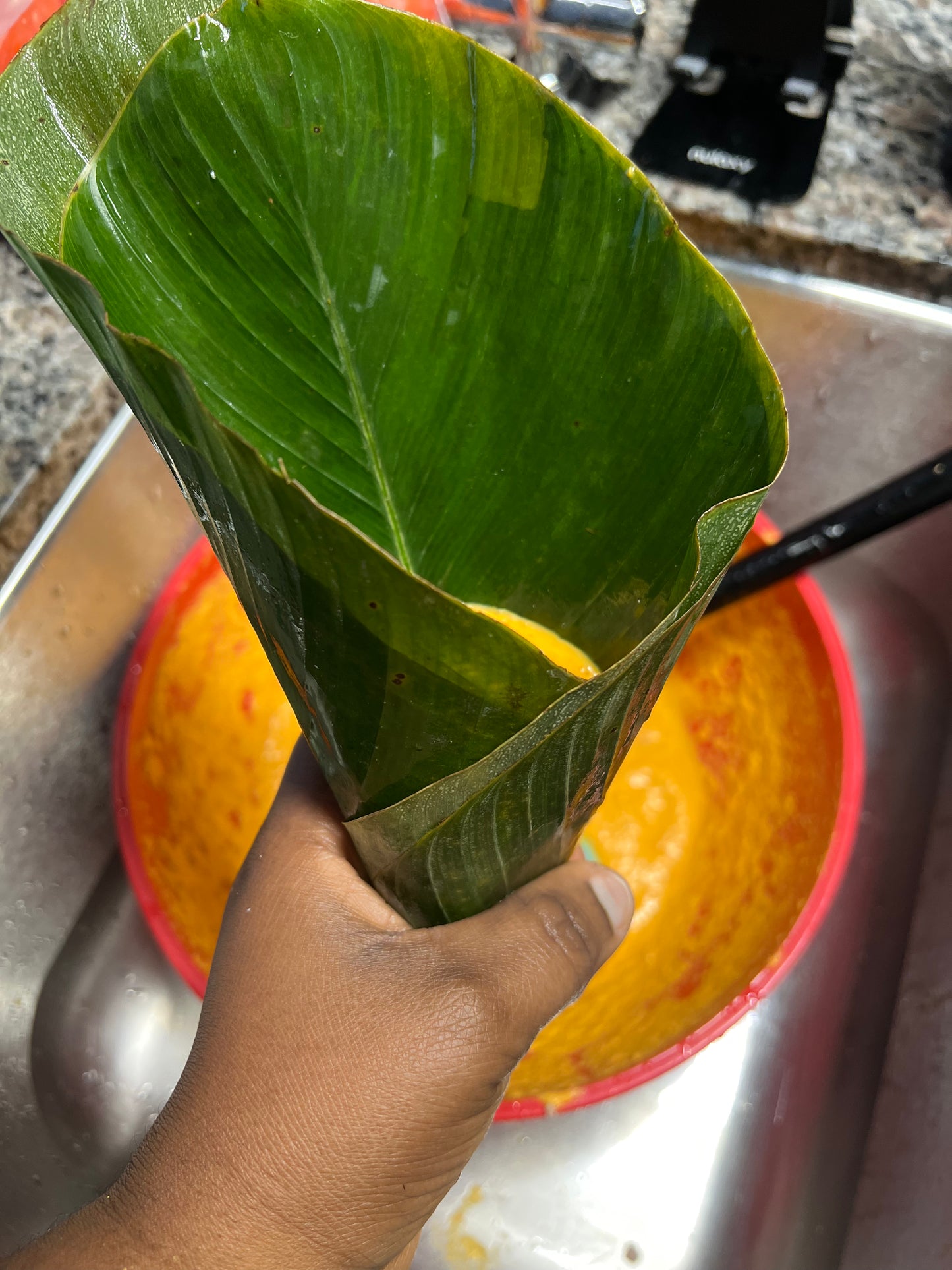 Fresh Moi-Moi Leaves - 40 Leaves