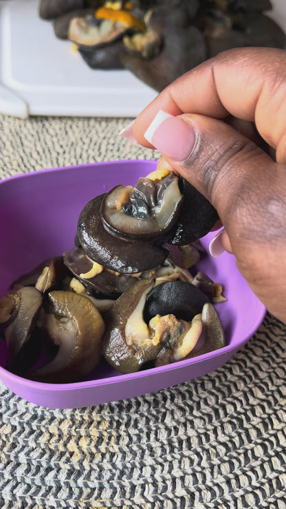 50Pcs - Fresh Small African Bush Snails