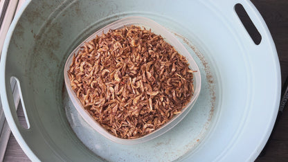 Cleaned Oron Crayfish