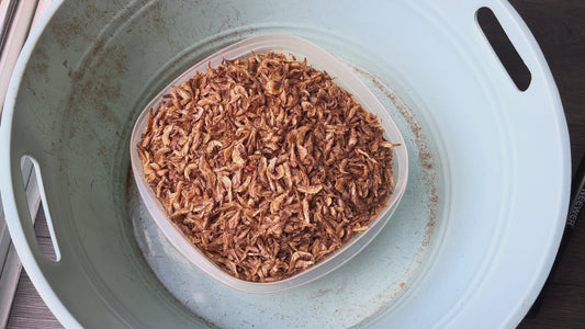 Cleaned Oron Crayfish