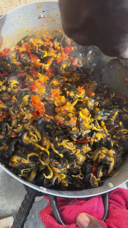 50Pcs - Fresh Small African Bush Snails